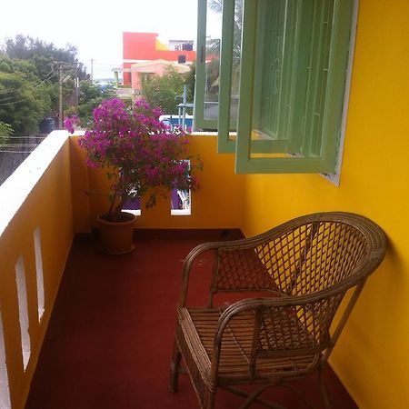 Blue Moon Guest House 马哈巴利普拉姆 外观 照片