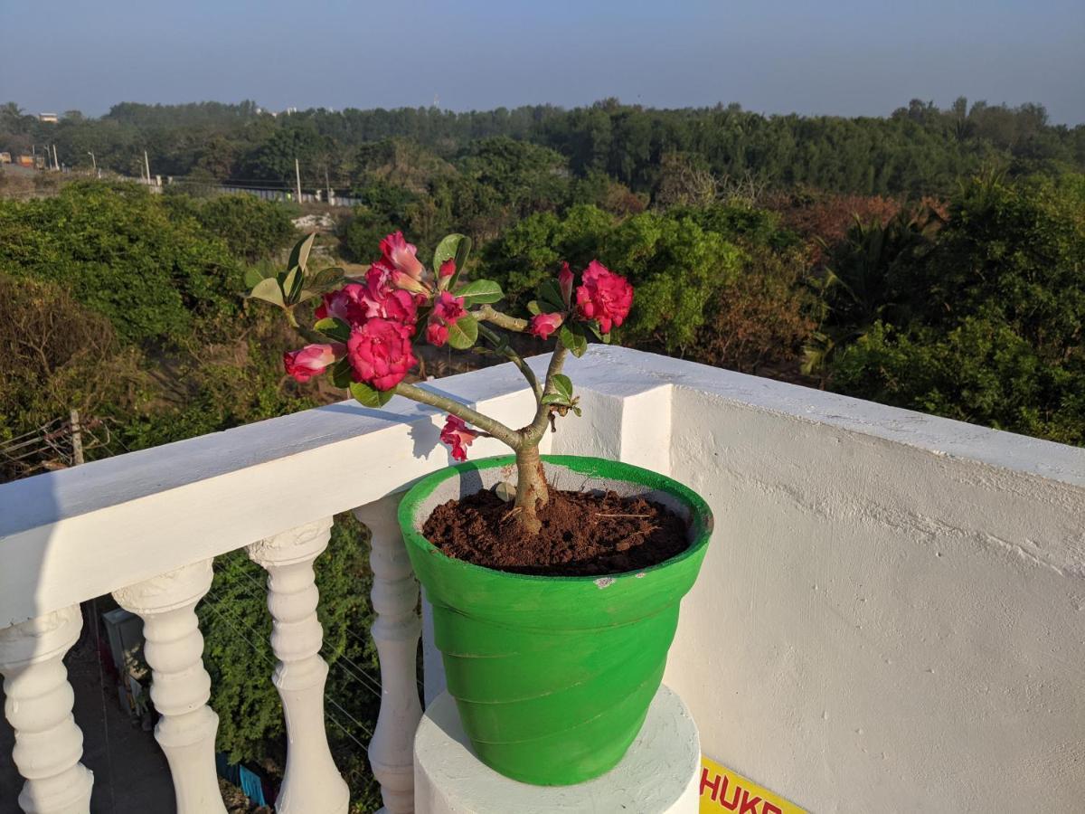 Blue Moon Guest House 马哈巴利普拉姆 外观 照片